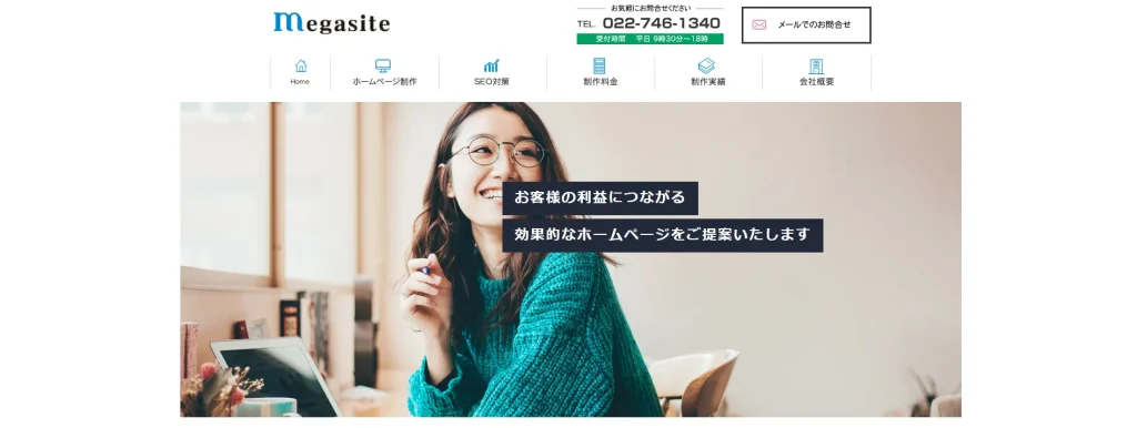 株式会社メガサイト